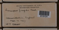 Image Associated With the Occurrence